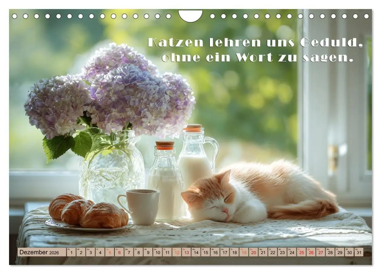 Bild: 9783516665383 | Miau-velous Pfotenpoesie (Wandkalender 2026 DIN A4 quer), CALVENDO...