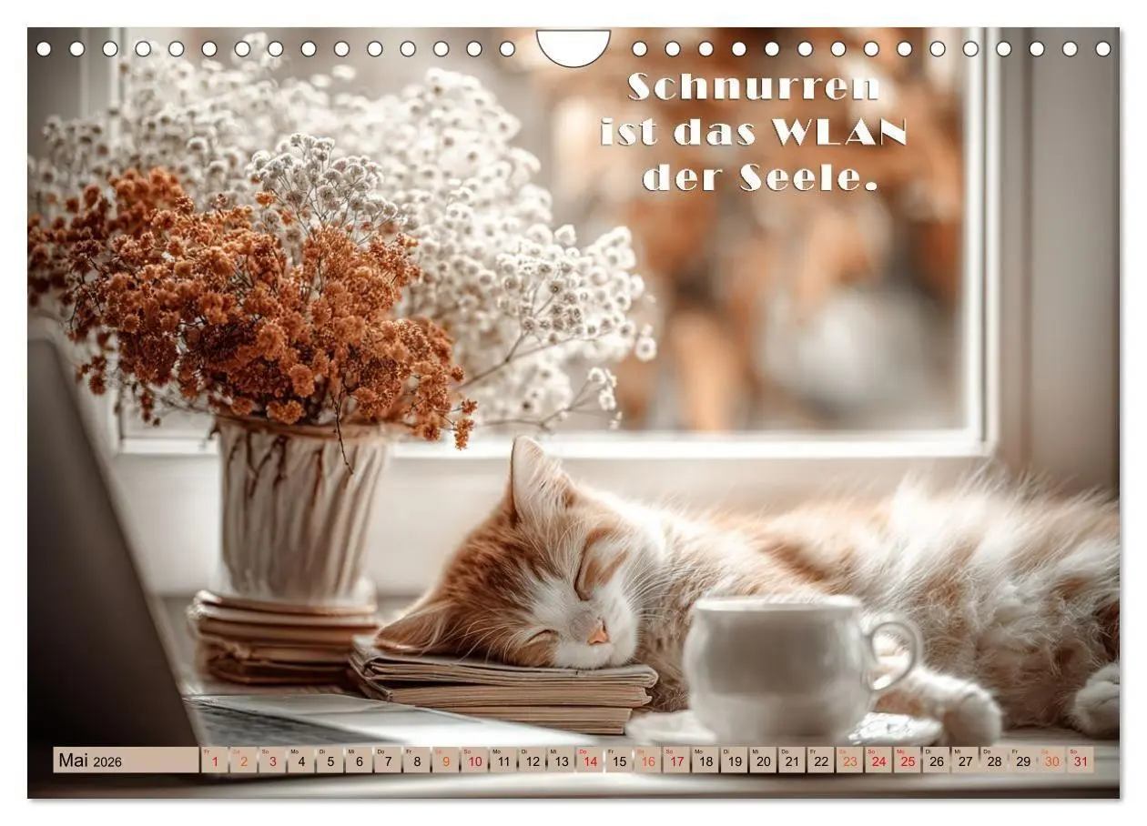 Bild: 9783516665383 | Miau-velous Pfotenpoesie (Wandkalender 2026 DIN A4 quer), CALVENDO...