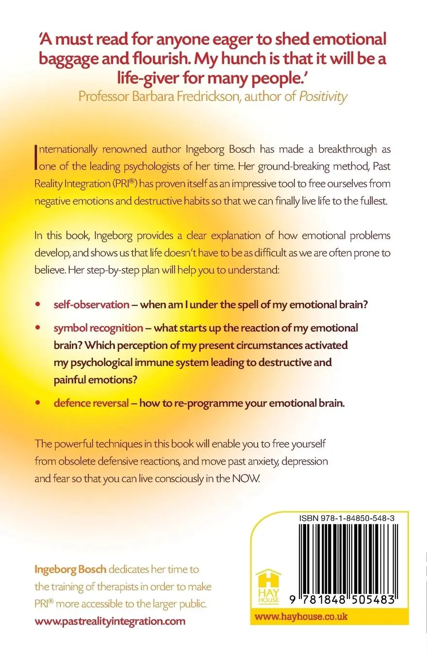 Rückseite: 9781848505483 | Past Reality Integration | Ingeborg Bosch | Taschenbuch | Englisch