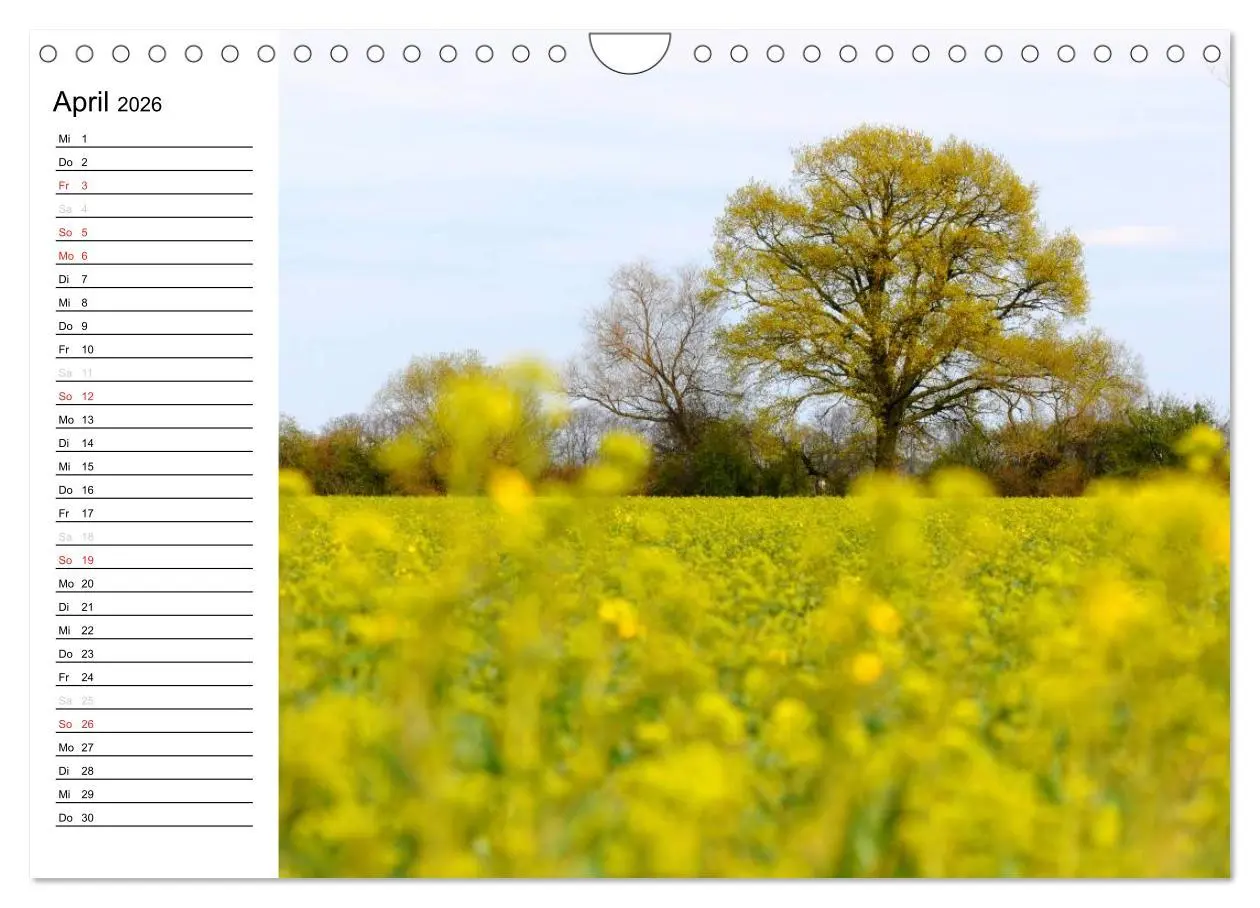 Bild: 9783457255483 | Die Jahreszeiten im Havelland (Wandkalender 2026 DIN A4 quer),...