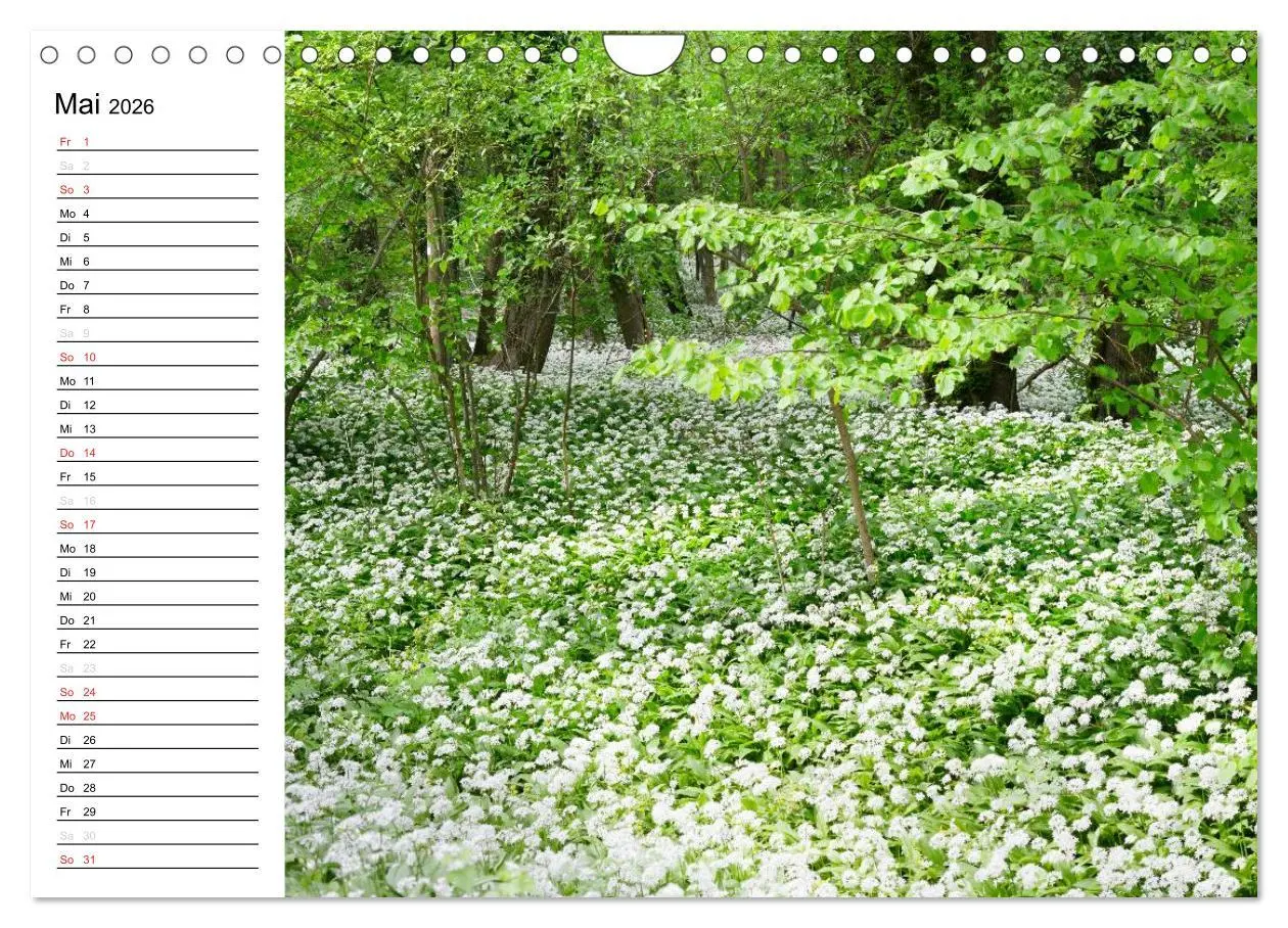 Bild: 9783457255483 | Die Jahreszeiten im Havelland (Wandkalender 2026 DIN A4 quer),...