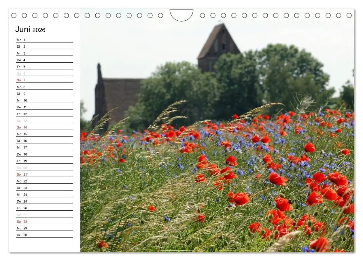 Bild: 9783457255483 | Die Jahreszeiten im Havelland (Wandkalender 2026 DIN A4 quer),...