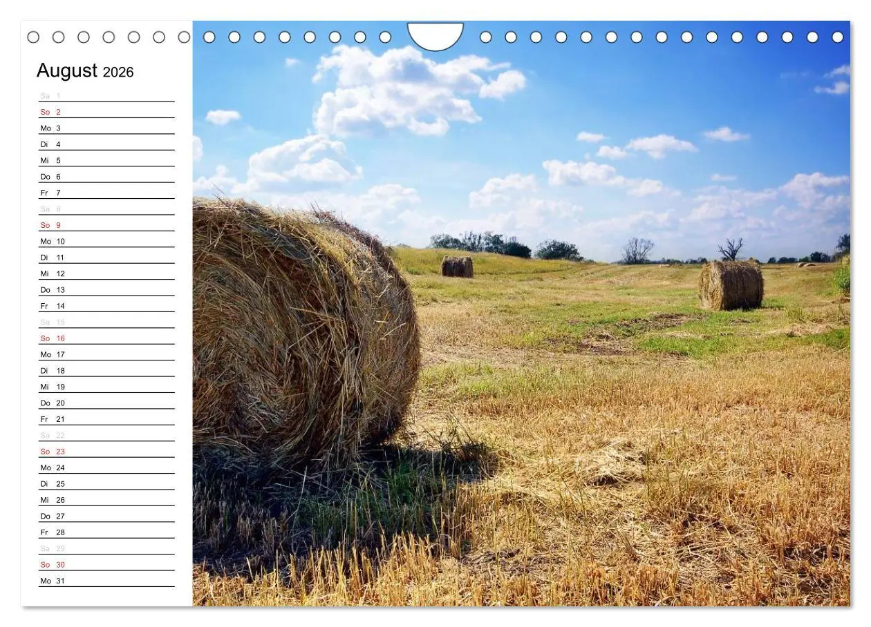 Bild: 9783457255483 | Die Jahreszeiten im Havelland (Wandkalender 2026 DIN A4 quer),...
