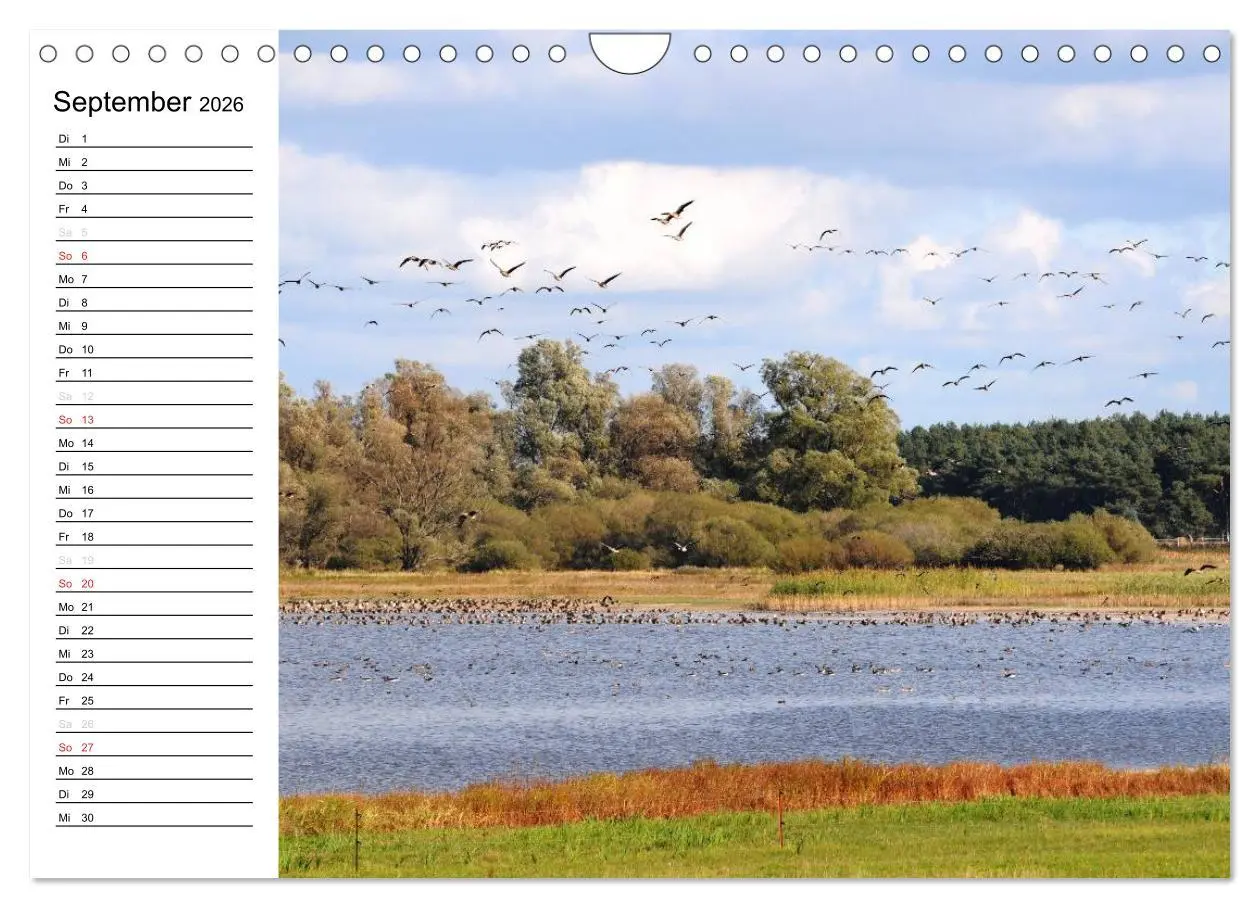 Bild: 9783457255483 | Die Jahreszeiten im Havelland (Wandkalender 2026 DIN A4 quer),...
