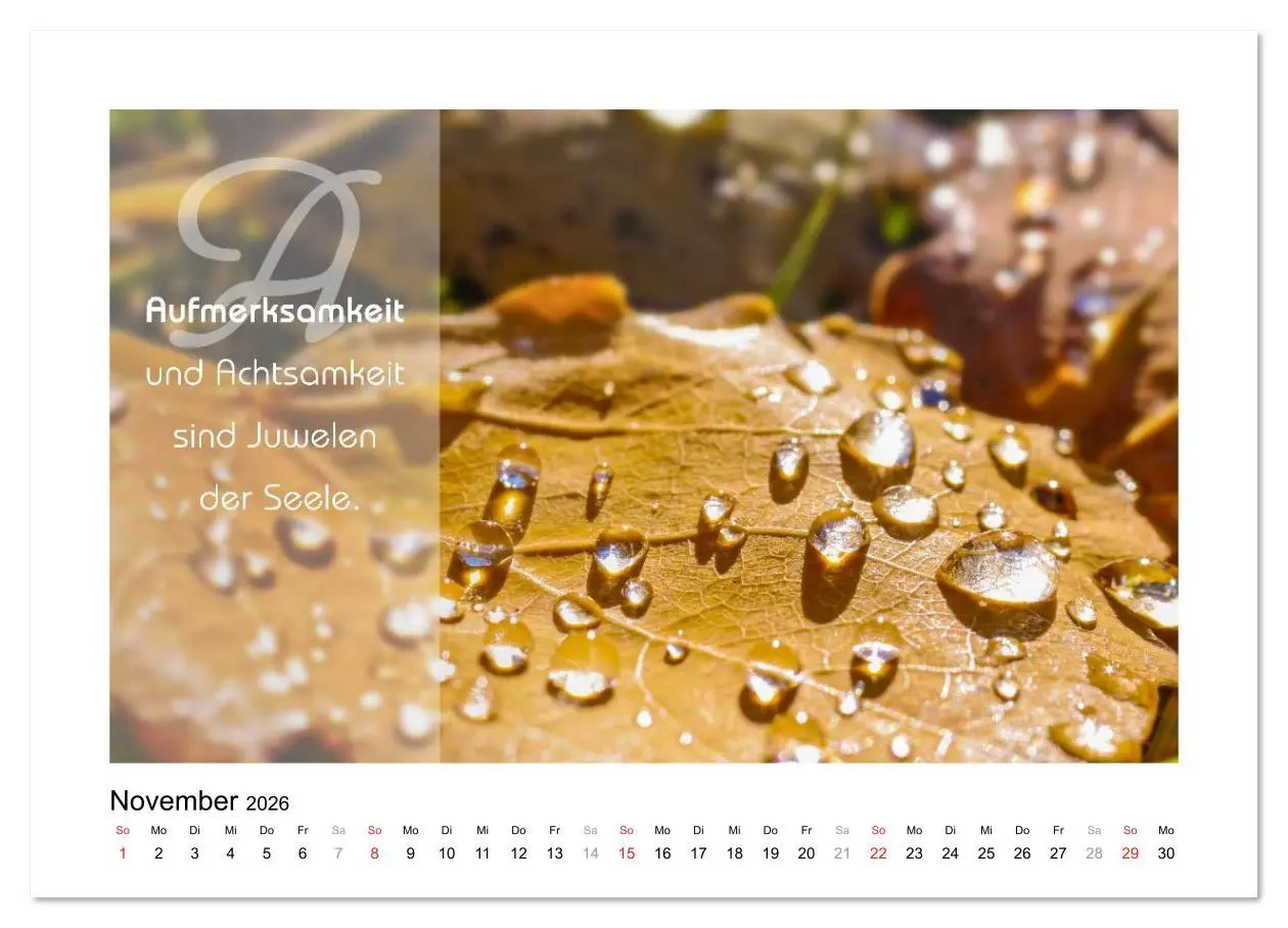 Bild: 9783516105483 | Kraft für Deine Seele (Wandkalender 2026 DIN A2 quer), CALVENDO...