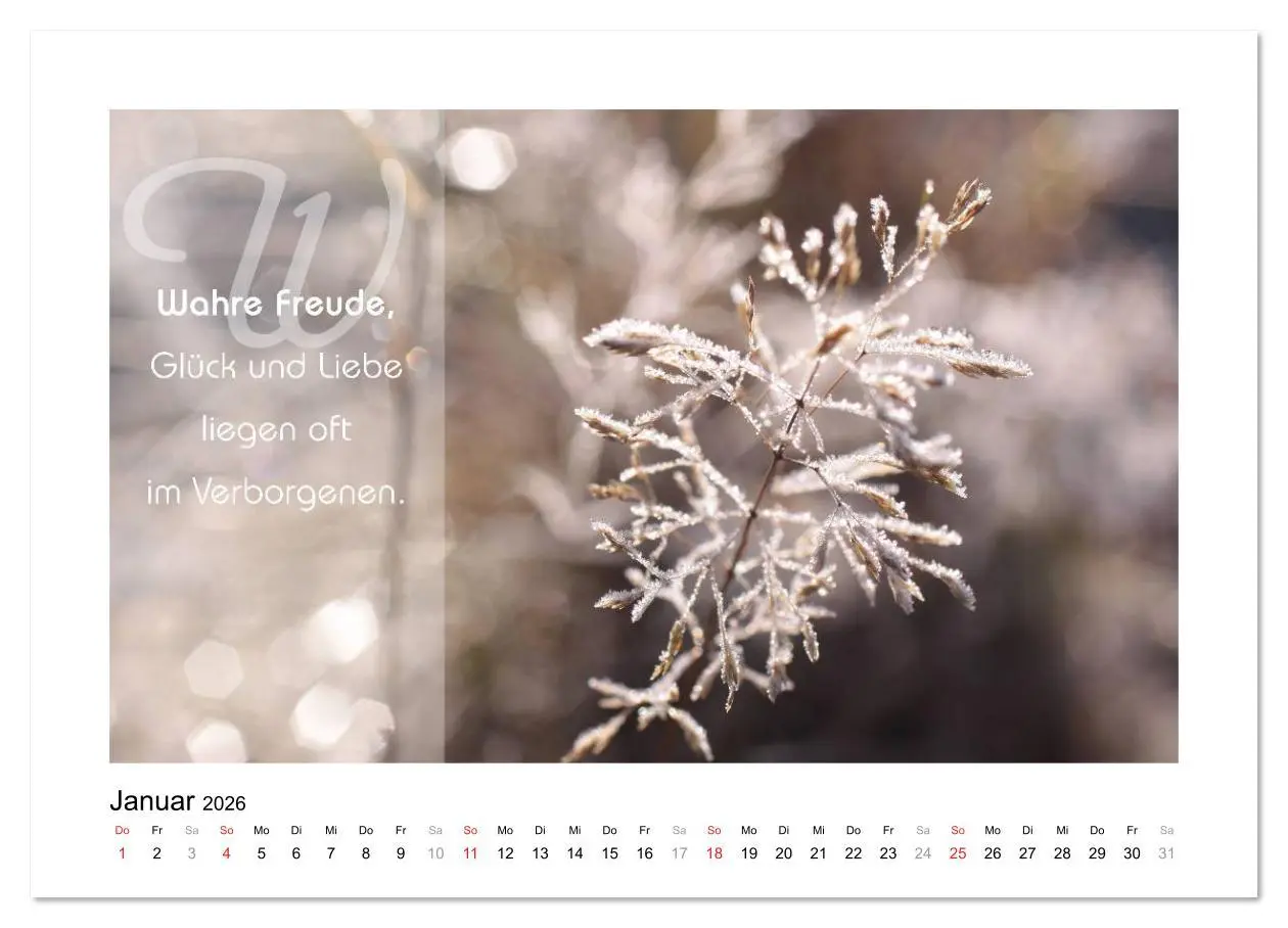 Bild: 9783516105483 | Kraft für Deine Seele (Wandkalender 2026 DIN A2 quer), CALVENDO...