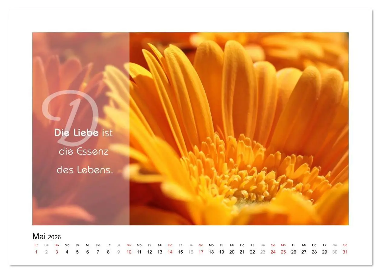 Bild: 9783516105483 | Kraft für Deine Seele (Wandkalender 2026 DIN A2 quer), CALVENDO...