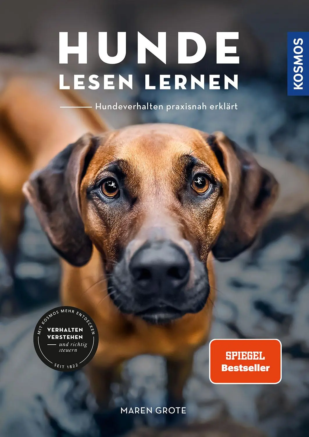 Cover: 9783440175583 | Hunde lesen lernen | Maren Grote | Taschenbuch | 200 S. | Deutsch Cover: 9783440175583 | Hunde lesen lernen | Maren Grote | Taschenbuch | 200 S. | Deutsch