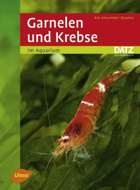 Cover: 9783800155583 | Garnelen und Krebse im Aquarium | Kai Alexander Quante | Taschenbuch