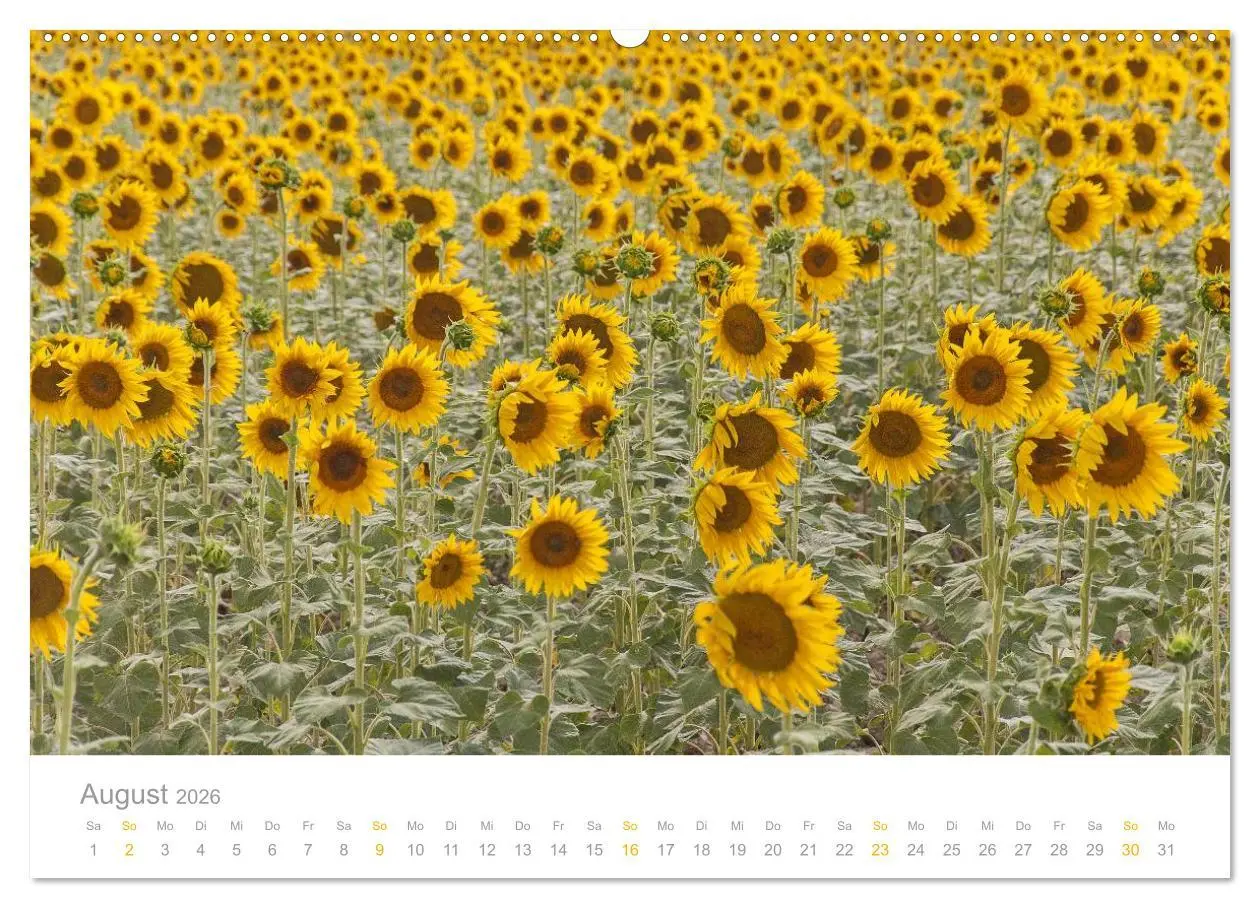 Bild: 9783516185683 | Provence: Malerisches Südfrankreich (hochwertiger Premium...