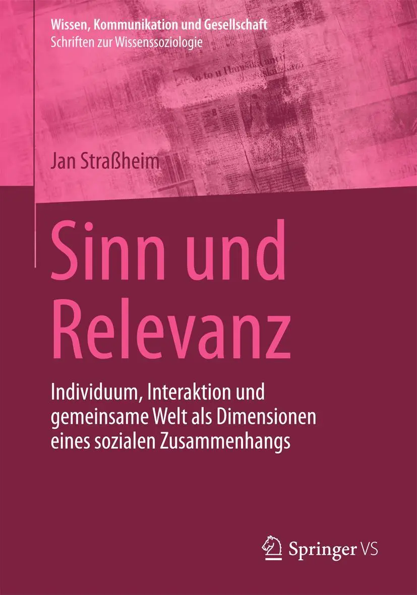 Cover: 9783658065683 | Sinn und Relevanz | Jan Straßheim | Taschenbuch | x | Deutsch | 2014