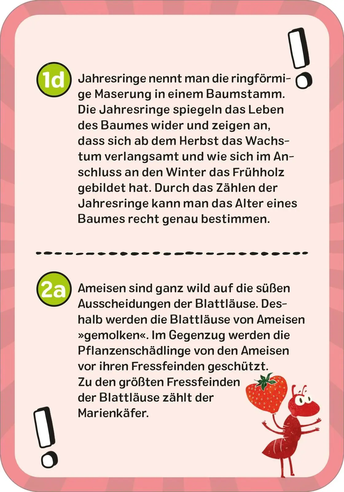 Bild: 9783845865683 | Das ultimative Wissens-Quiz | Philip Kiefer | Taschenbuch | 100 S.