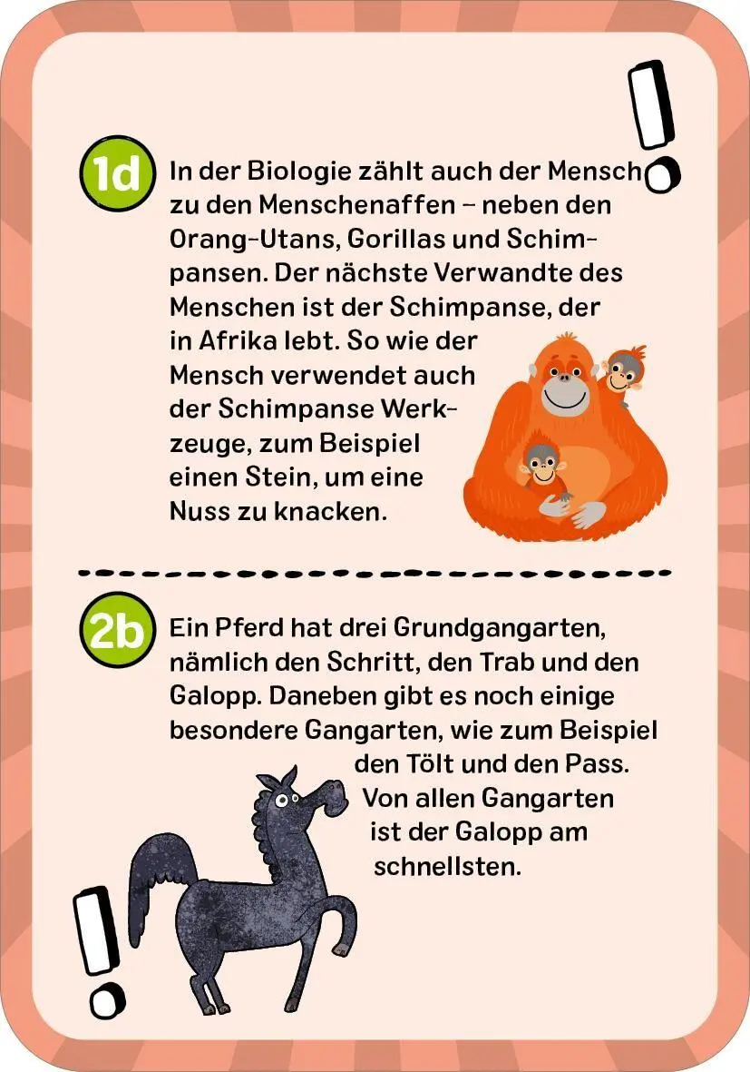 Bild: 9783845865683 | Das ultimative Wissens-Quiz | Philip Kiefer | Taschenbuch | 100 S.