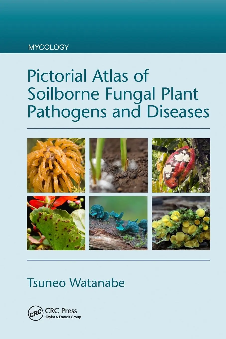Cover: 9781032095783 | Pictorial Atlas of Soilborne Fungal Plant Pathogens and Diseases Cover: 9781032095783 | Pictorial Atlas of Soilborne Fungal Plant Pathogens and Diseases