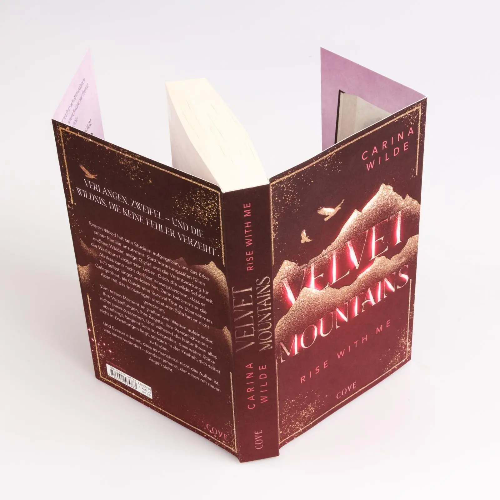 Bild: 9783551585783 | Rise With Me (Velvet Mountains 2) | Carina Wilde | Taschenbuch | 2026