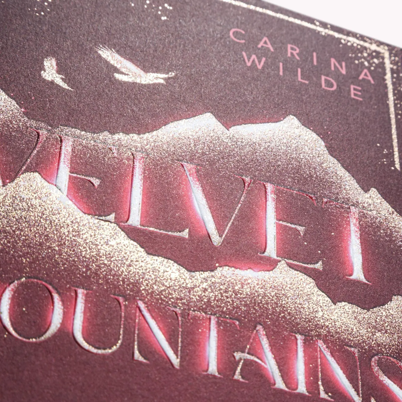 Bild: 9783551585783 | Rise With Me (Velvet Mountains 2) | Carina Wilde | Taschenbuch | 2026