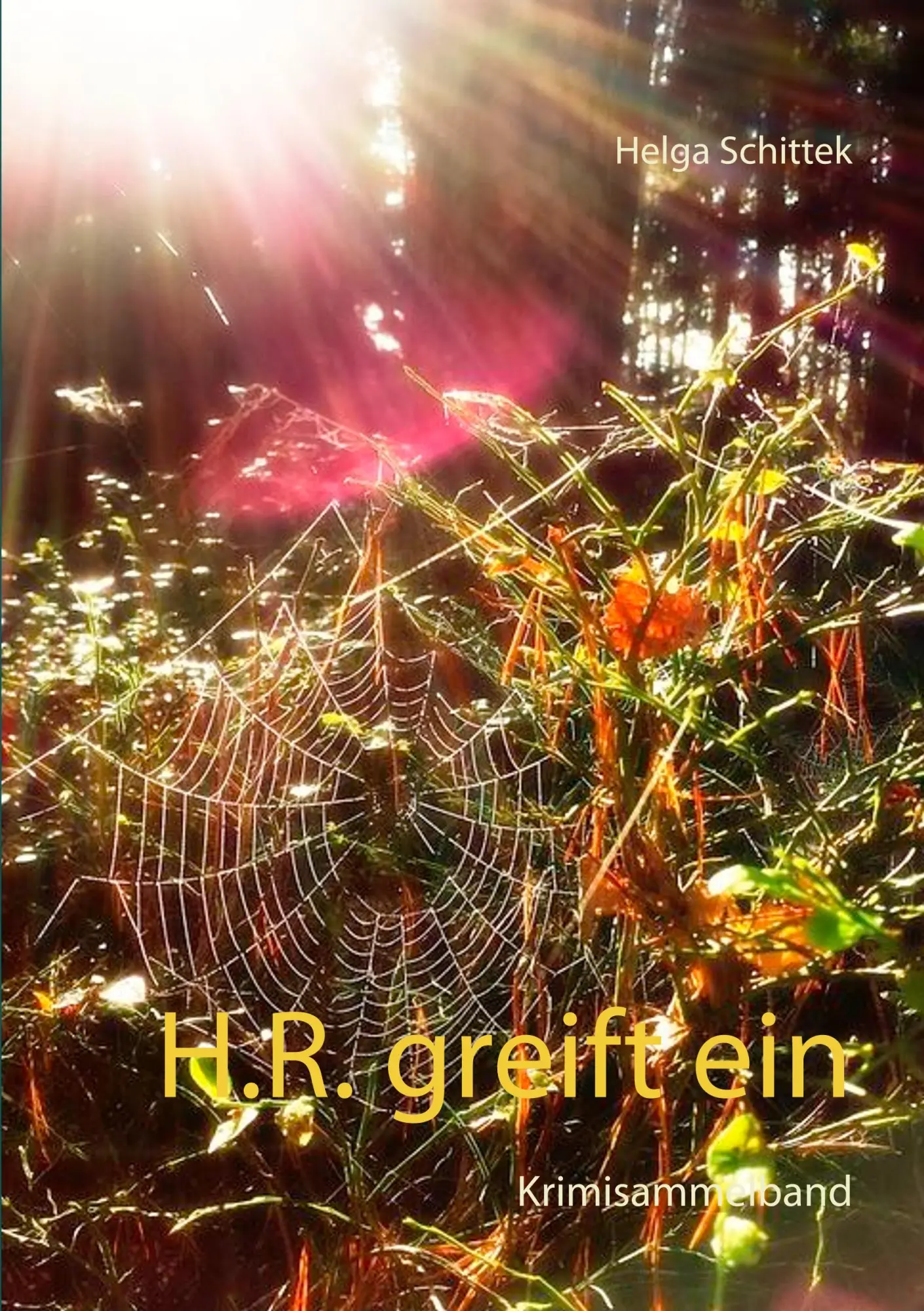H.R. greift ein: Krimisammelband