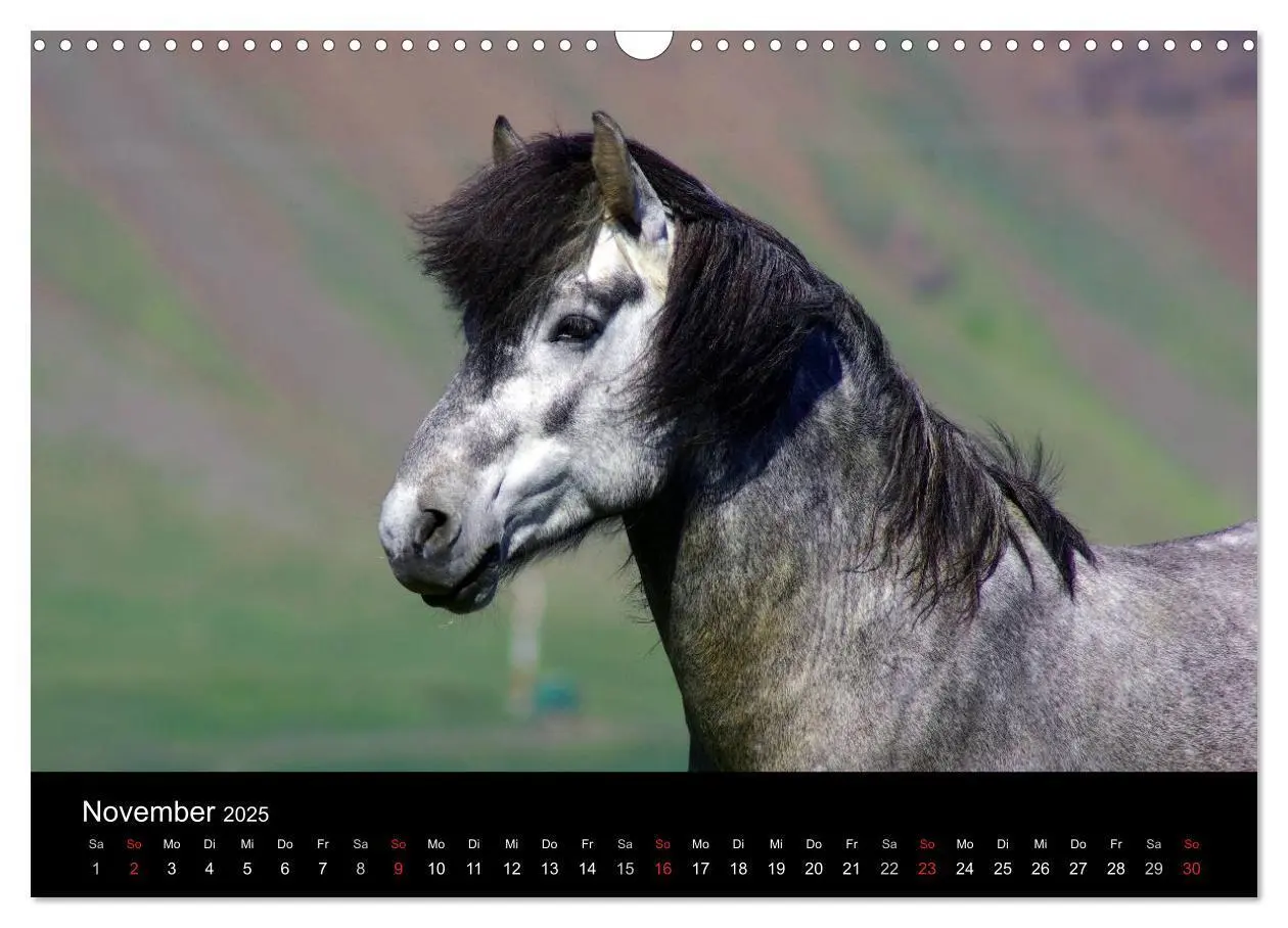 Bild: 9783435815883 | Island und die Färöer (Wandkalender 2025 DIN A3 quer), CALVENDO...