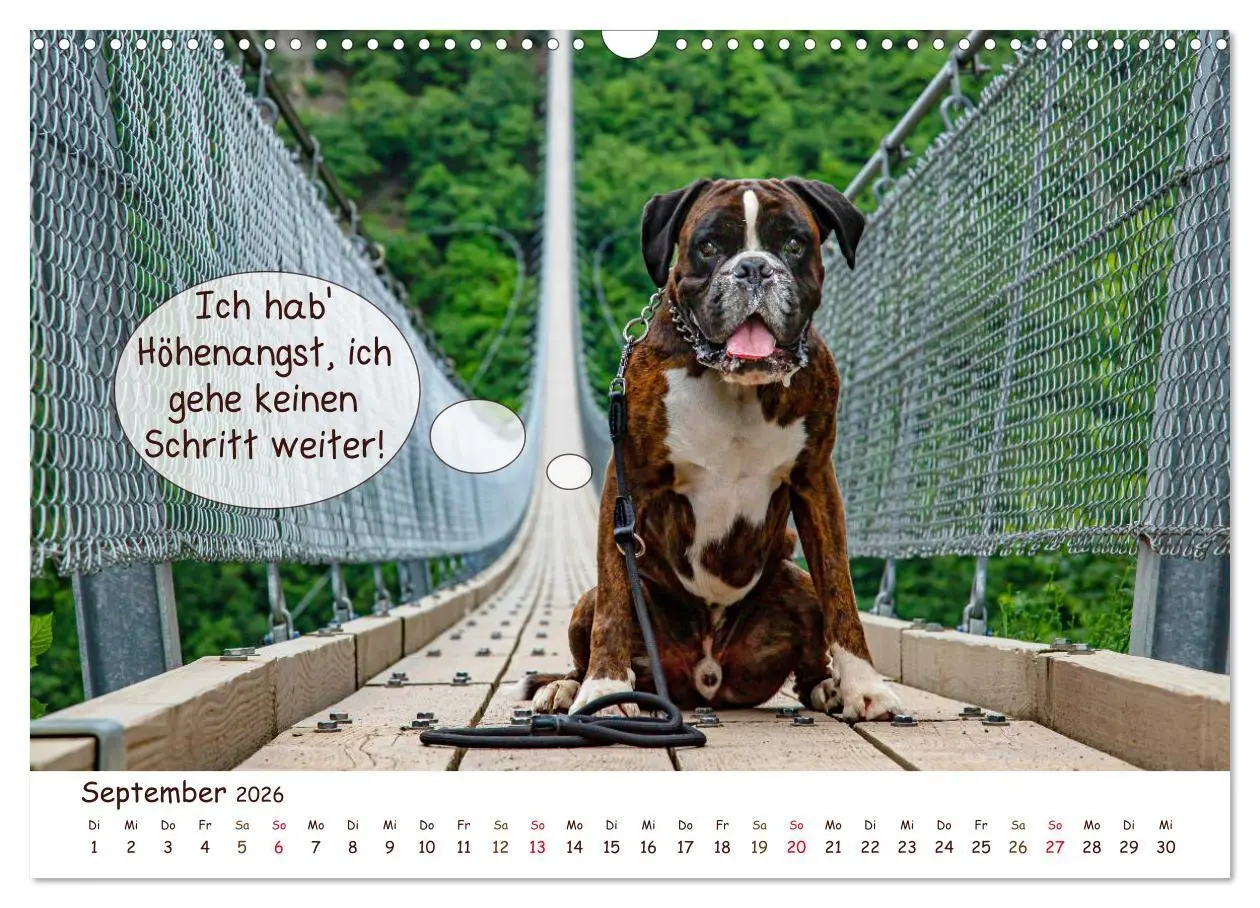 Bild: 9783457835883 | Frei Schnauze 2026. Was Hunde am liebsten sagen würden...