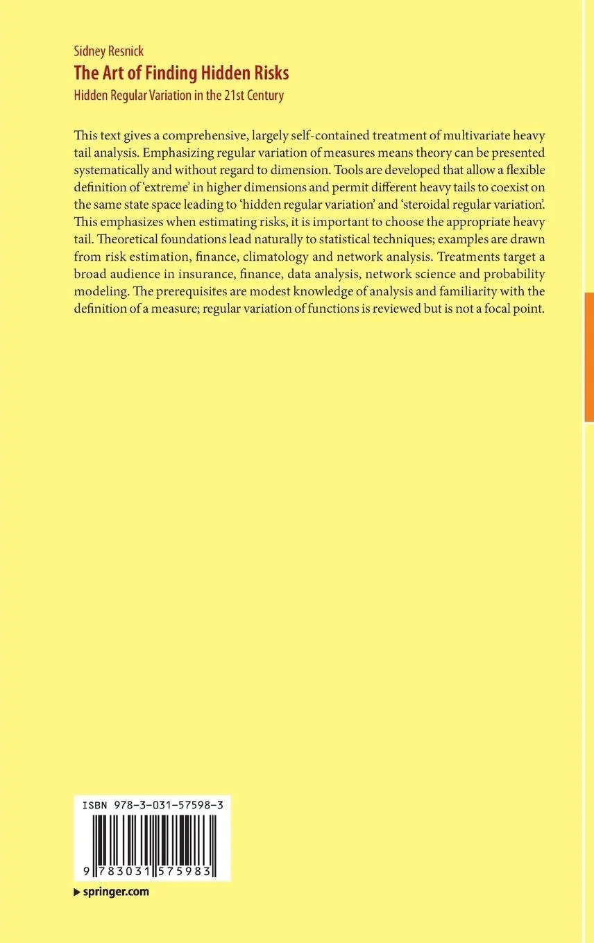 Rückseite: 9783031575983 | The Art of Finding Hidden Risks | Sidney Resnick | Buch | xiii | 2024