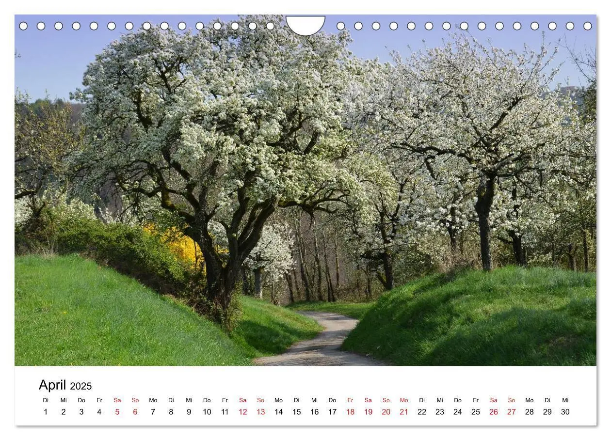 Bild: 9783435595983 | Zauberhaftes Remstal (Wandkalender 2025 DIN A4 quer), CALVENDO...