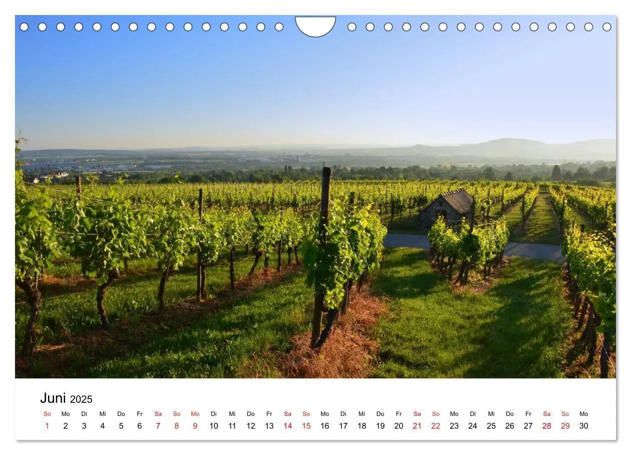 Bild: 9783435595983 | Zauberhaftes Remstal (Wandkalender 2025 DIN A4 quer), CALVENDO...