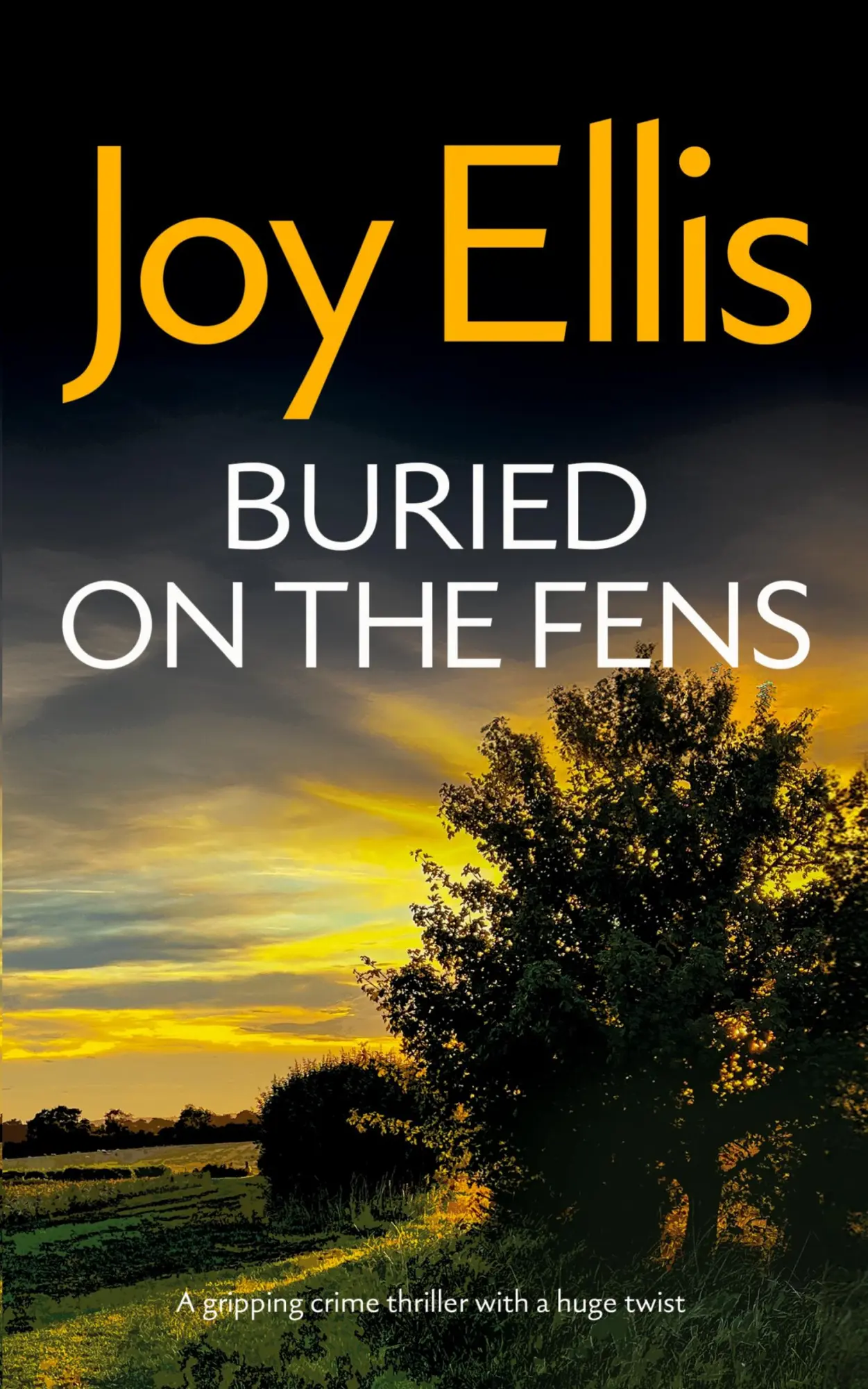 Cover: 9781835266083 | BURIED ON THE FENS a gripping crime thriller with a huge twist | Ellis