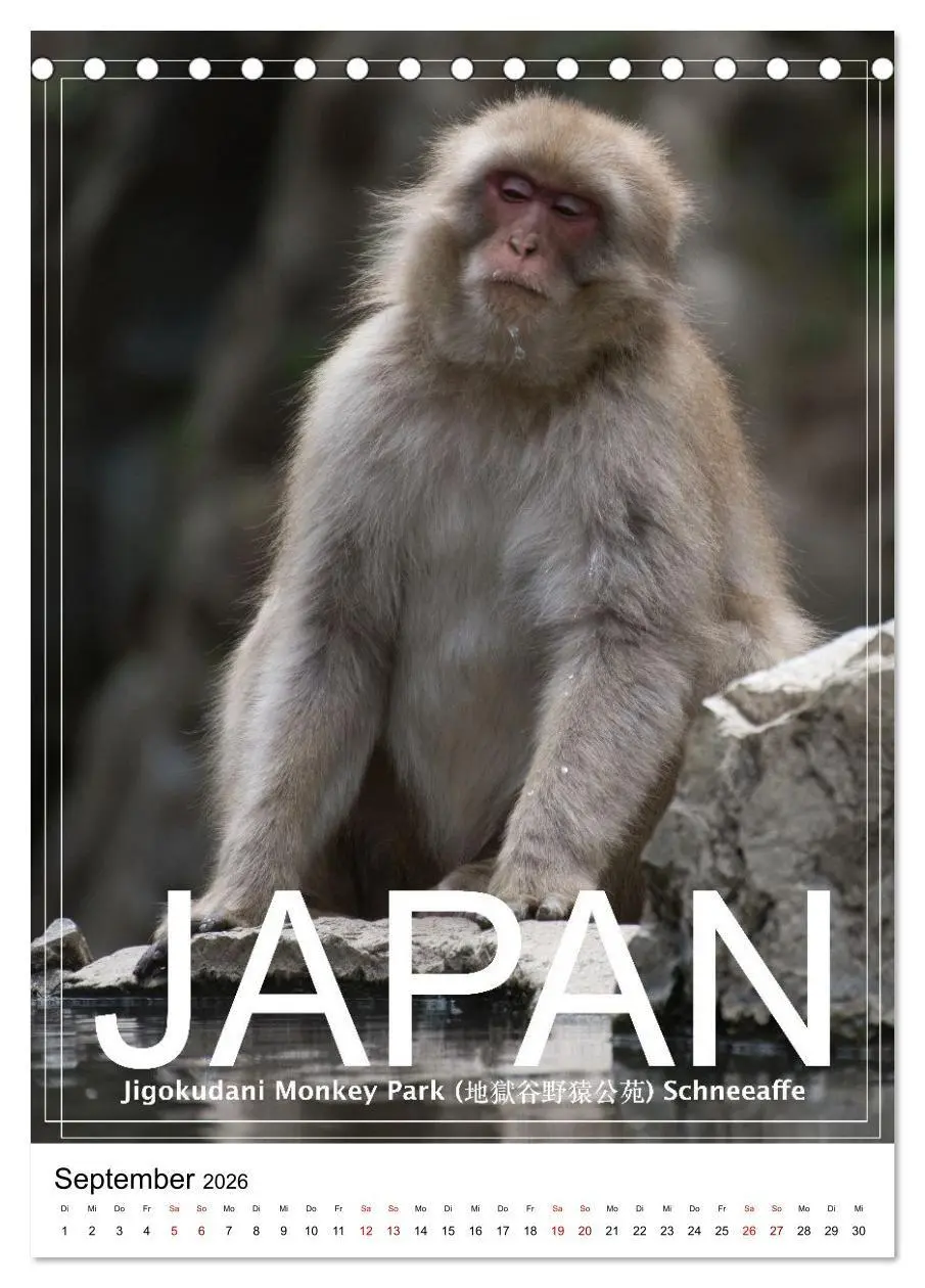 Bild: 9783516736083 | Japan PosterArt 2024 (Tischkalender 2026 DIN A5 hoch), CALVENDO...
