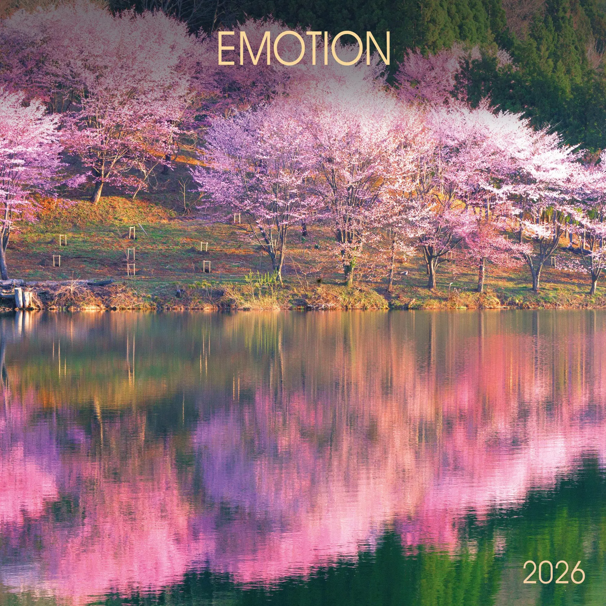 Cover: 9783959296083 | Emotion 2026 | Kalender 2026 | Kalender | 28 S. | Englisch | 2026