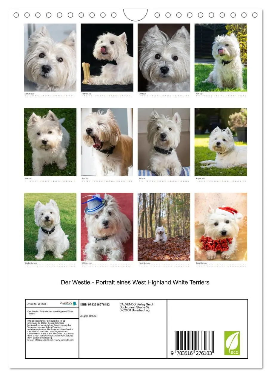 Bild: 9783516276183 | Der Westie - Portrait eines West Highland White Terriers...
