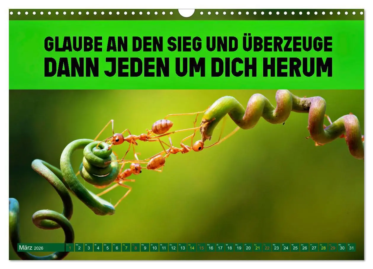 Bild: 9783457246283 | Gemeinsam sind wir stark - motivierende Sprüche über Teams...