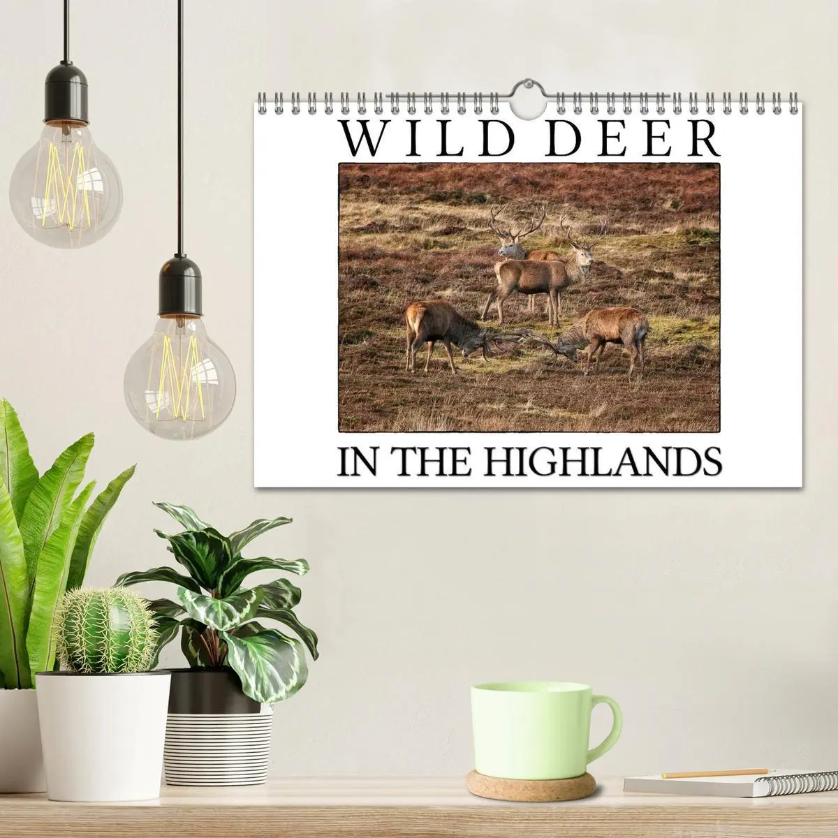 Bild: 9783516576283 | Wild Deer In The Highlands (Wall Calendar 2026 DIN A4 landscape),...