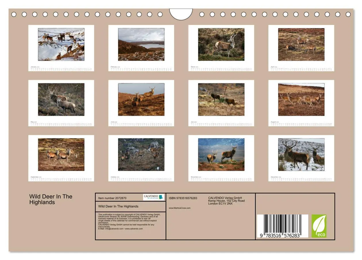Bild: 9783516576283 | Wild Deer In The Highlands (Wall Calendar 2026 DIN A4 landscape),...