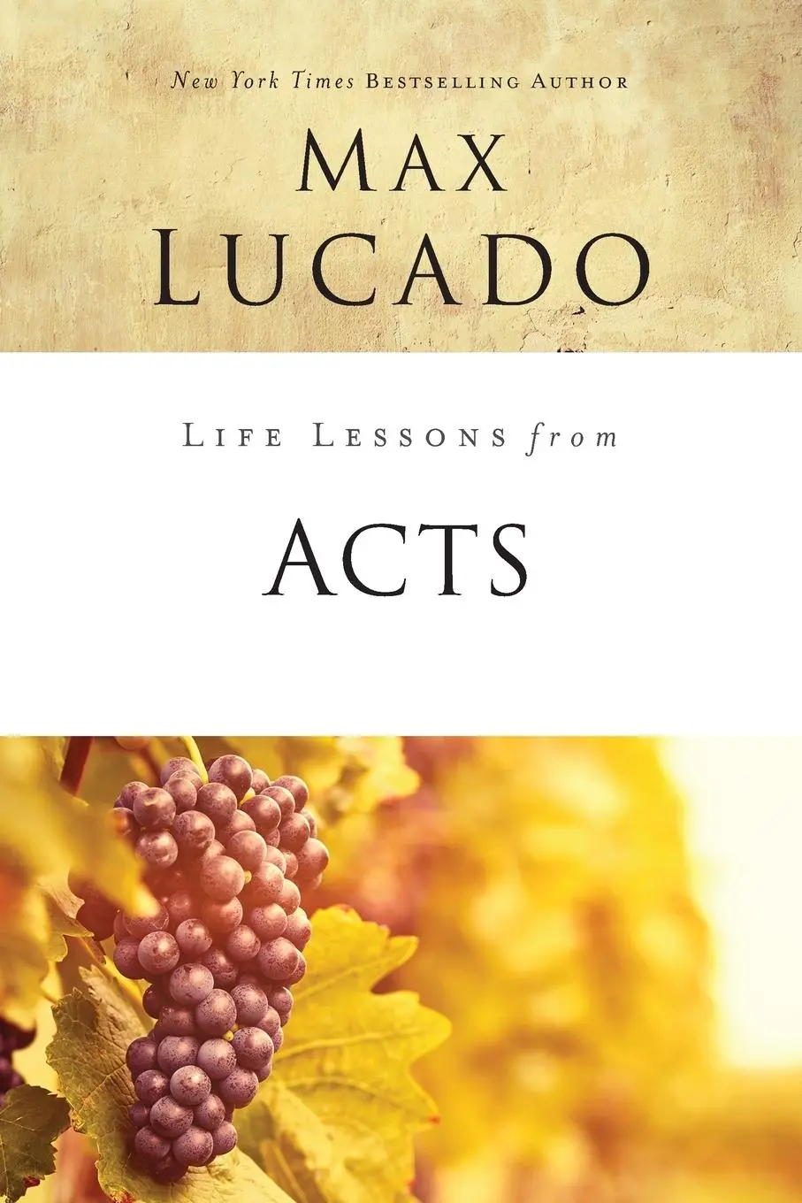 Cover: 9780310086383 | Life Lessons from Acts | Christ's Church in the World | Max Lucado
