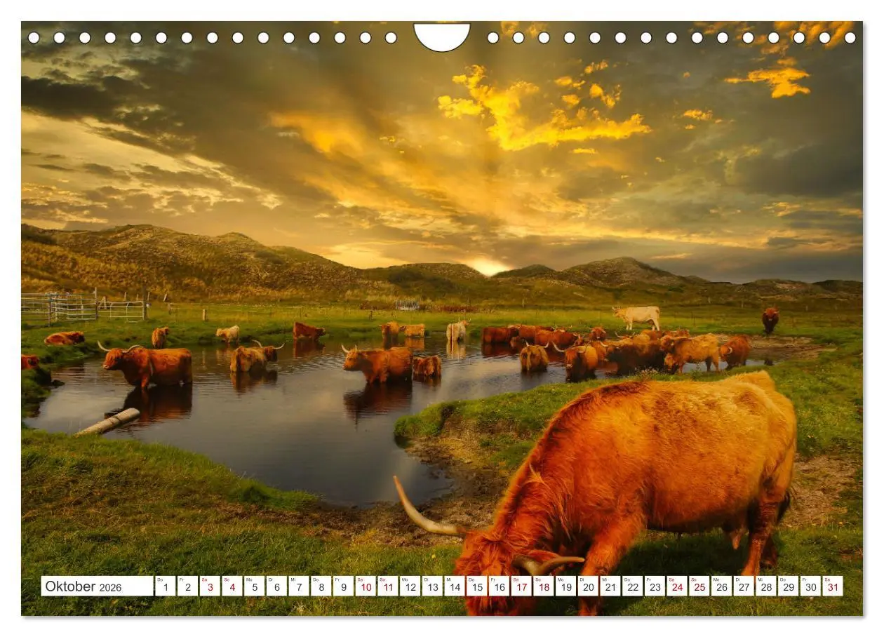 Bild: 9783457546383 | Langeoog - Perle der Natur (Wandkalender 2026 DIN A4 quer),...
