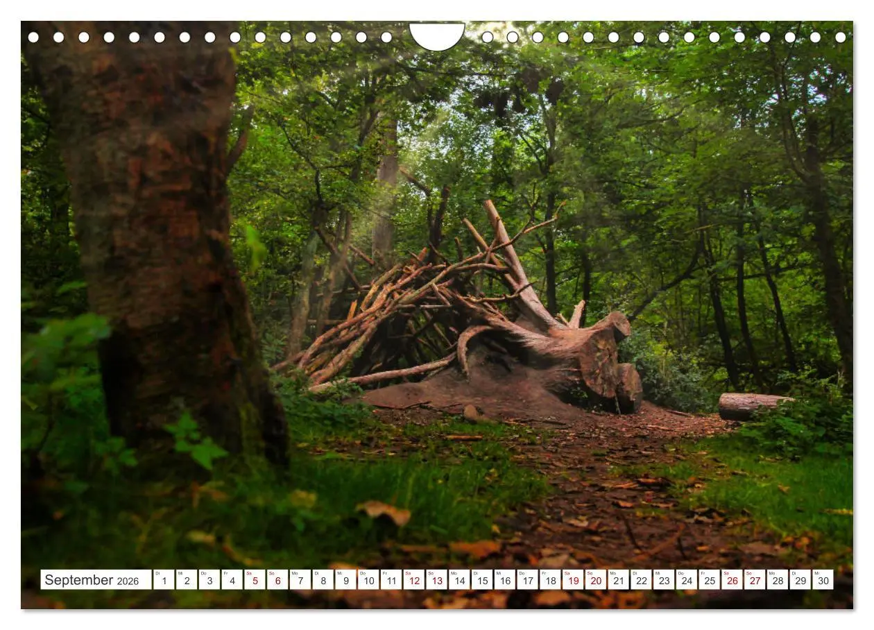 Bild: 9783457546383 | Langeoog - Perle der Natur (Wandkalender 2026 DIN A4 quer),...