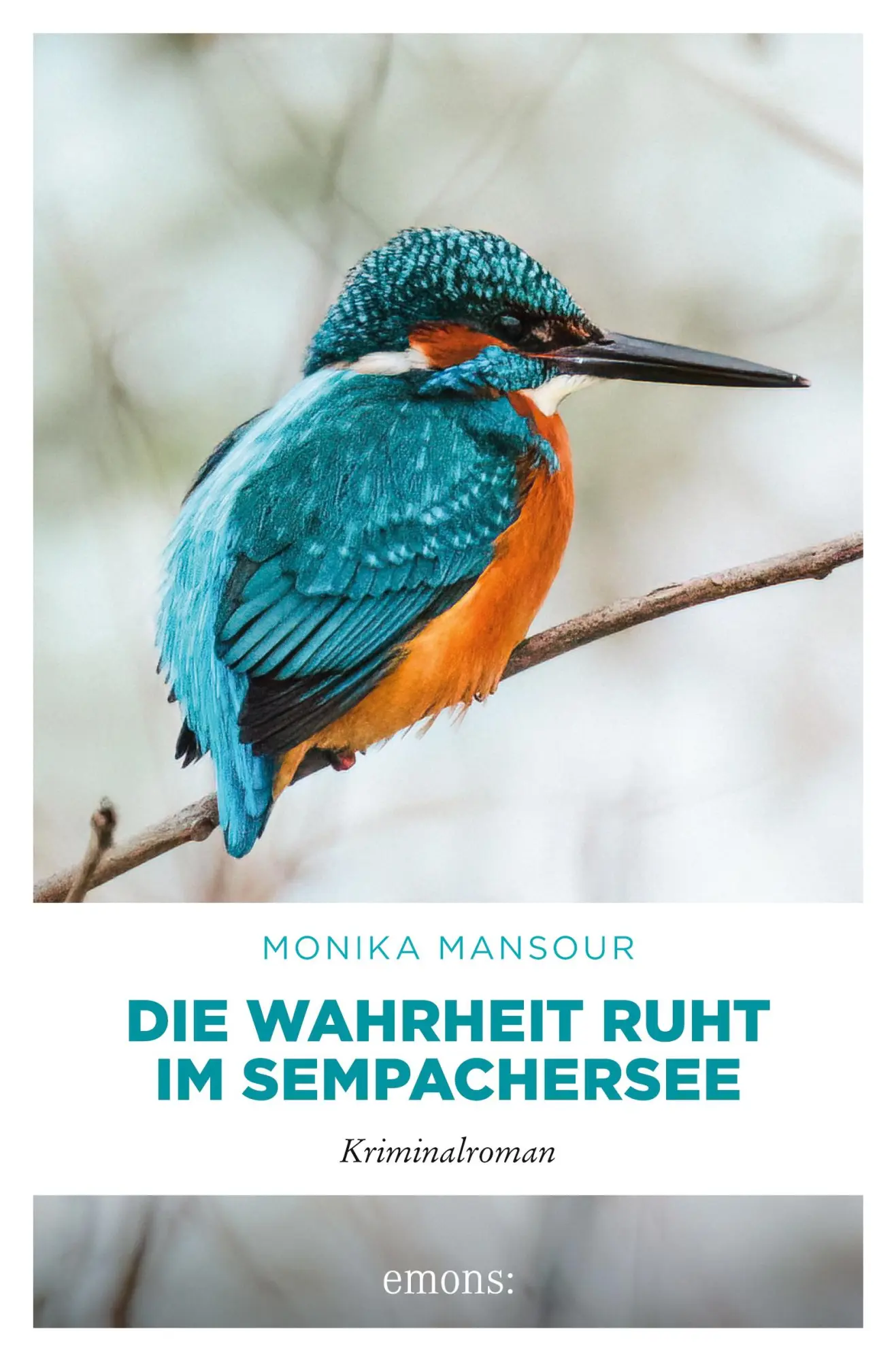 Cover: 9783740826383 | Die Wahrheit ruht im Sempachersee | Monika Mansour | Taschenbuch
