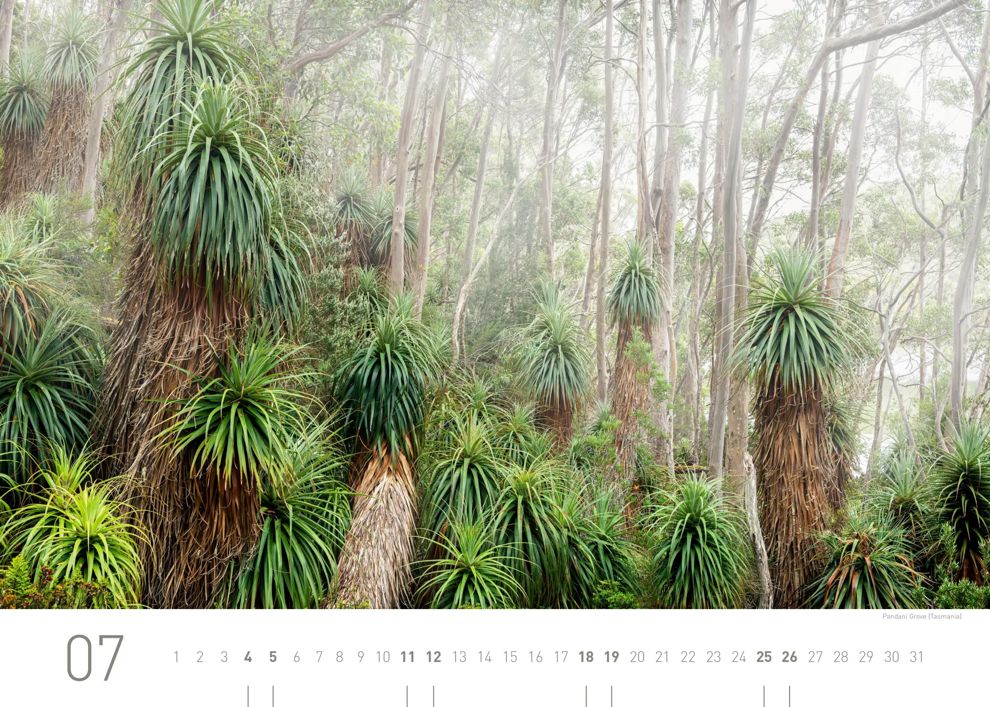 Bild: 9783968556383 | Australien Exklusivkalender 2026 | Limited Edition (70 x 50 cm) | 2026