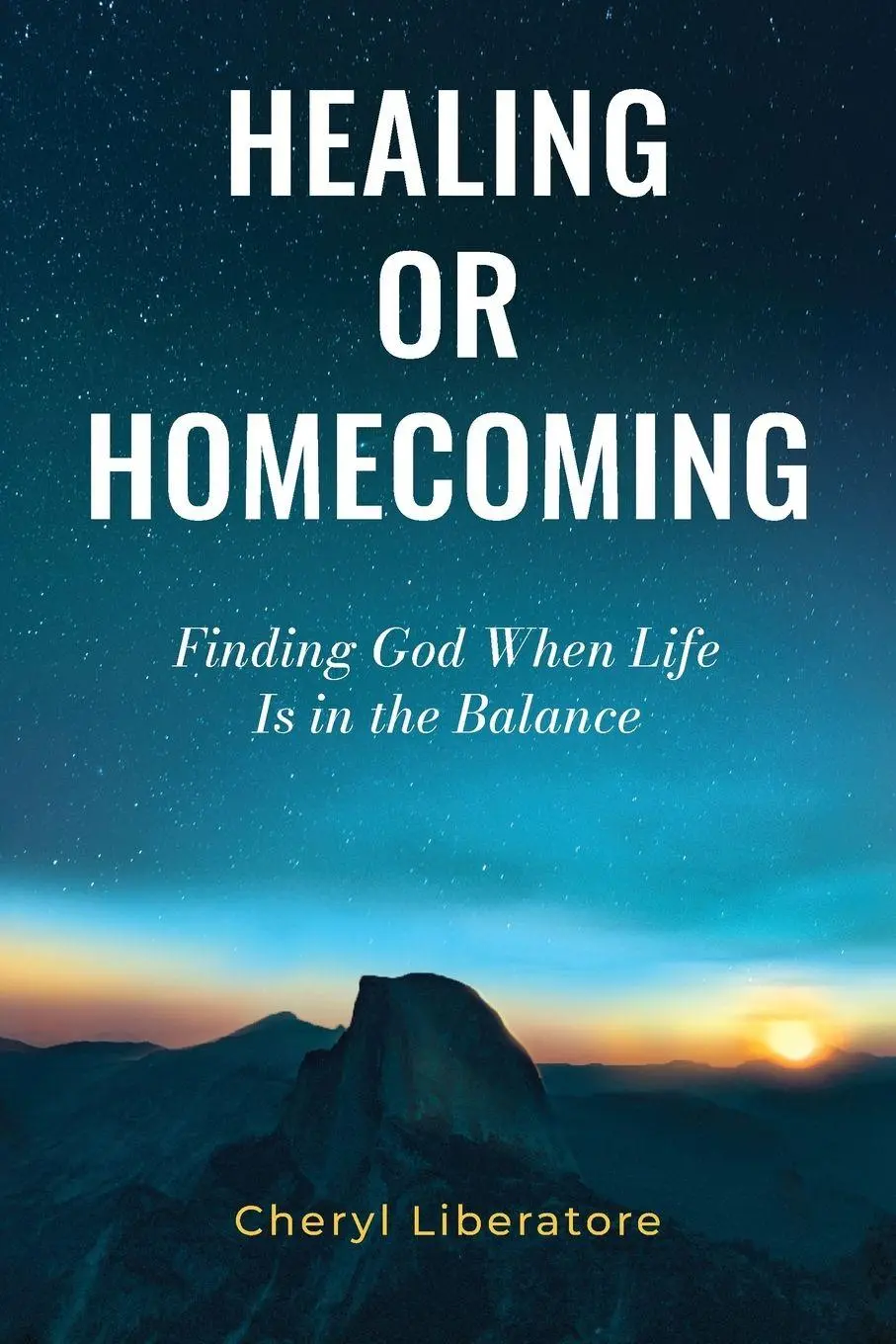 Cover: 9781683146483 | Healing or Homecoming | Finding God When Life is In the Balance | Buch