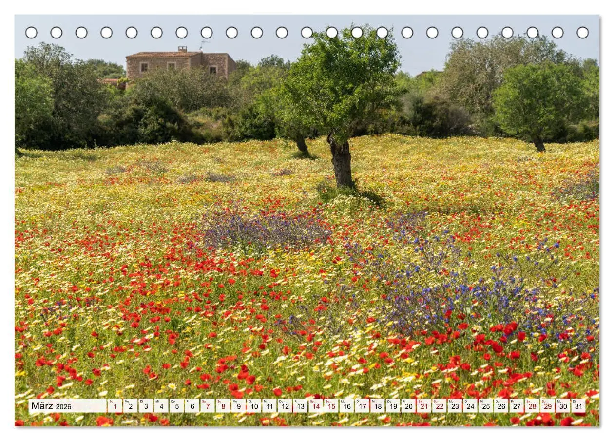 Bild: 9783457466483 | Spanien - Balearen - Mallorca (Tischkalender 2026 DIN A5 quer),...