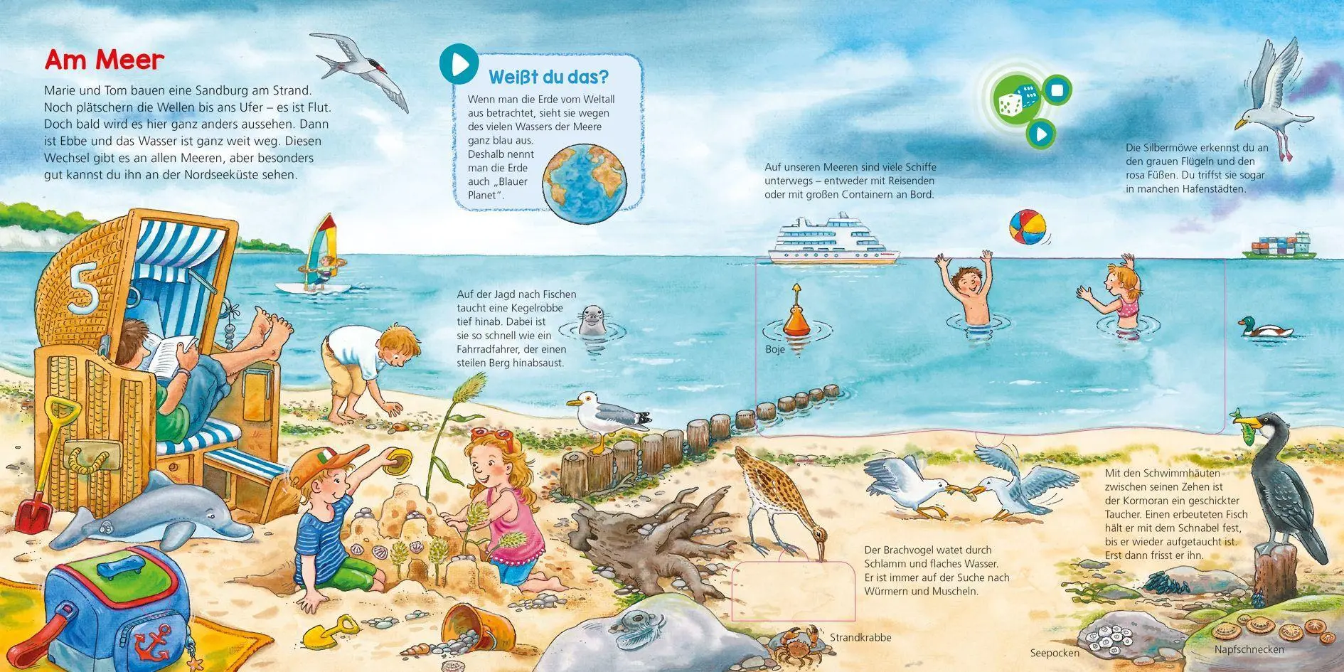Bild: 9783788676483 | BOOKii® WAS IST WAS Kindergarten Tiere und Pflanzen am Wasser | Buch