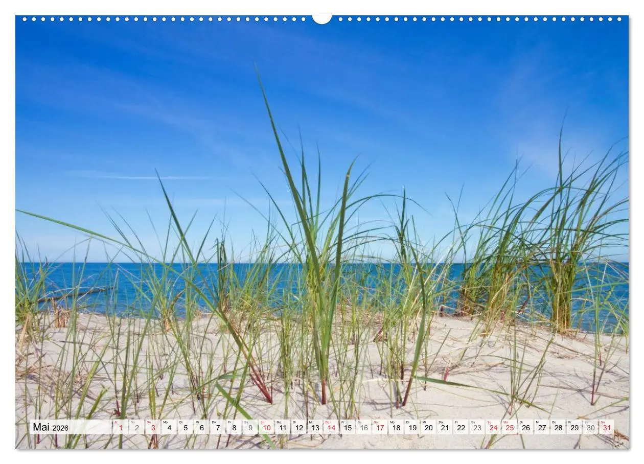 Bild: 9783516166583 | Sonne, Strand &amp; Meer (Wandkalender 2026 DIN A2 quer), CALVENDO...