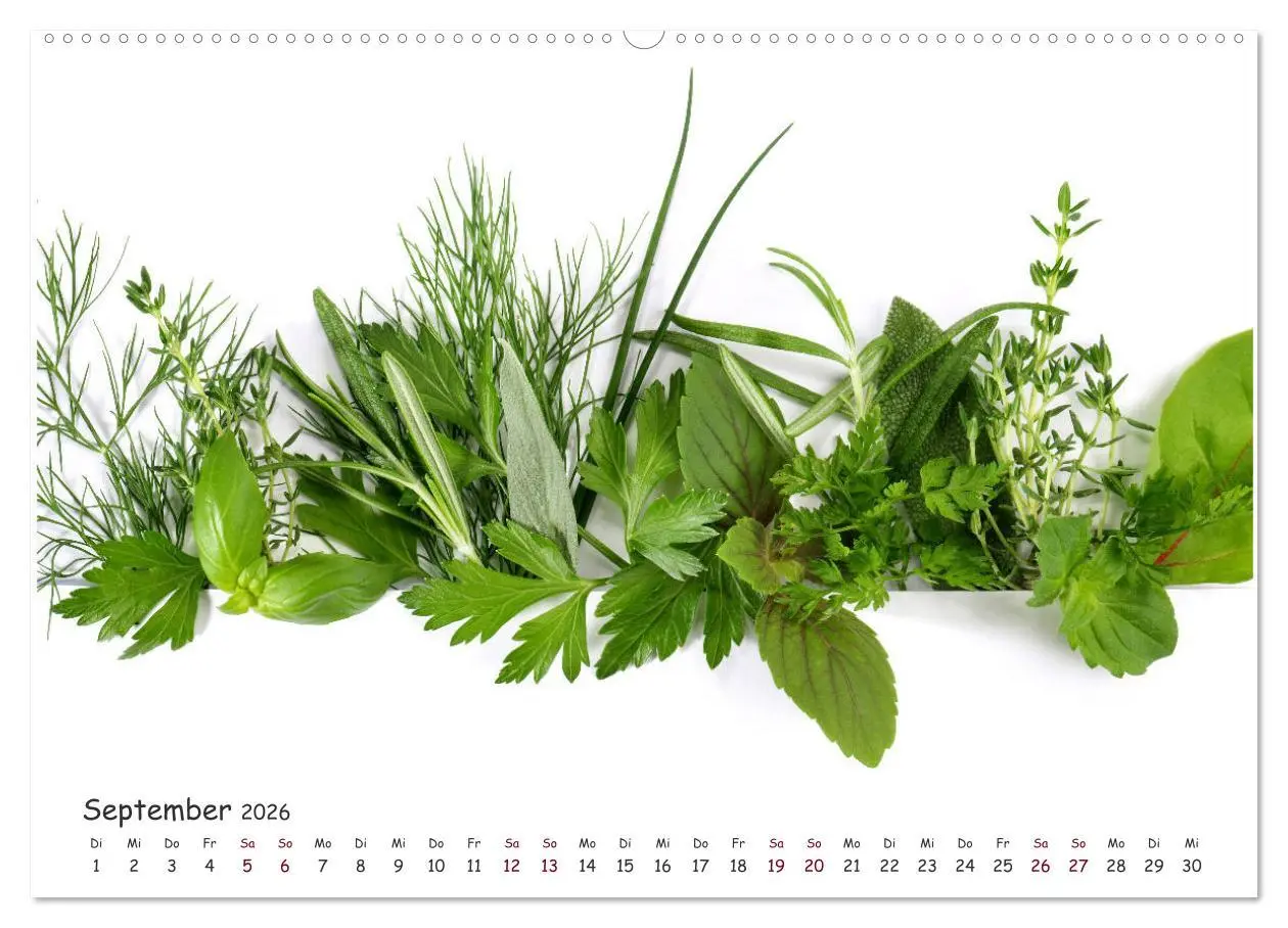 Bild: 9783457686683 | Food Panorama - Küchenkalender 2026 (hochwertiger Premium...