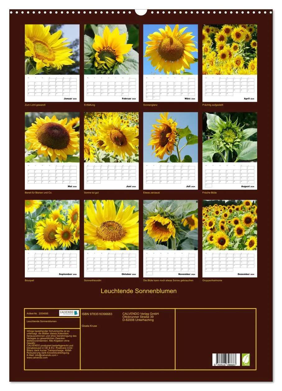 Bild: 9783516396683 | Leuchtende Sonnenblumen (Wandkalender 2026 DIN A2 hoch), CALVENDO...