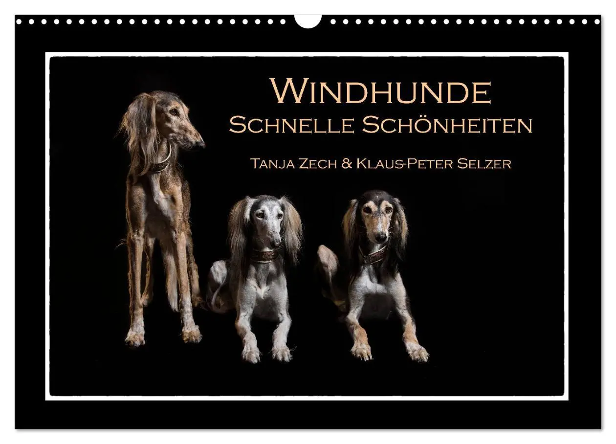 Cover: 9783457746783 | Windhunde - Schnelle Schönheiten (Wandkalender 2026 DIN A3 quer),...