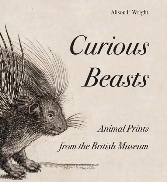 Cover: 9780714126883 | Curious Beasts: Animal Prints from the British Museum | Alison Wright