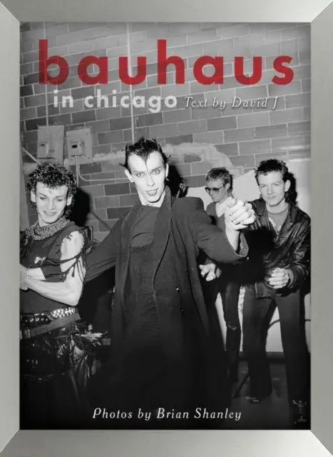 Bauhaus In Chicago