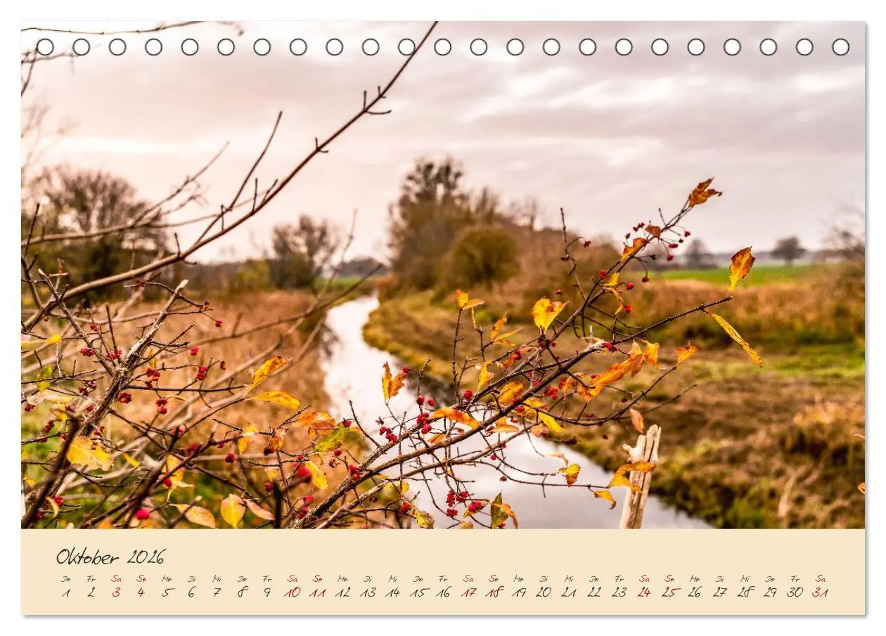 Bild: 9783457596883 | Friedländer Große Wiese (Tischkalender 2026 DIN A5 quer), CALVENDO...