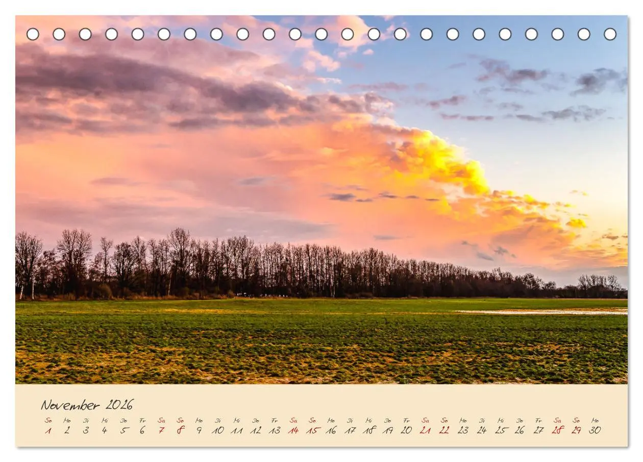 Bild: 9783457596883 | Friedländer Große Wiese (Tischkalender 2026 DIN A5 quer), CALVENDO...