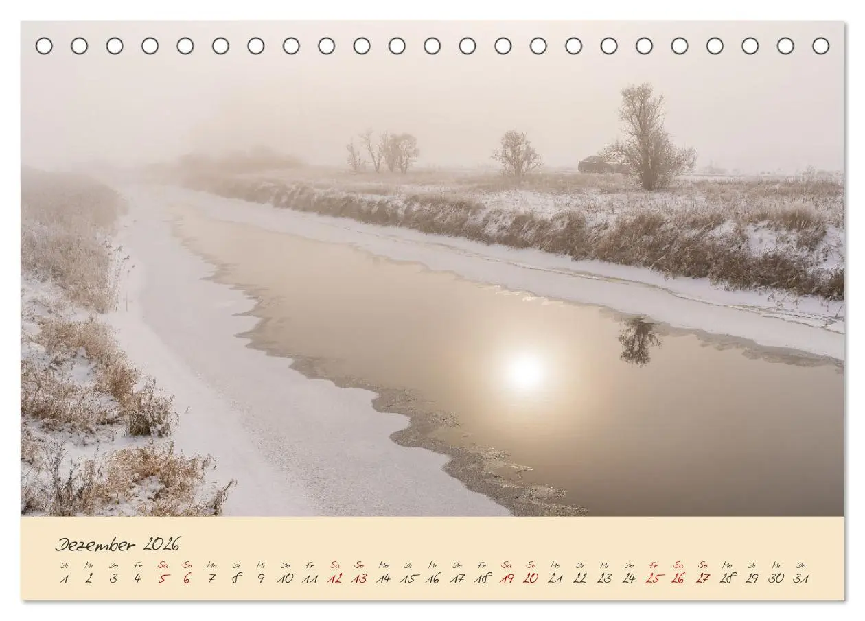 Bild: 9783457596883 | Friedländer Große Wiese (Tischkalender 2026 DIN A5 quer), CALVENDO...